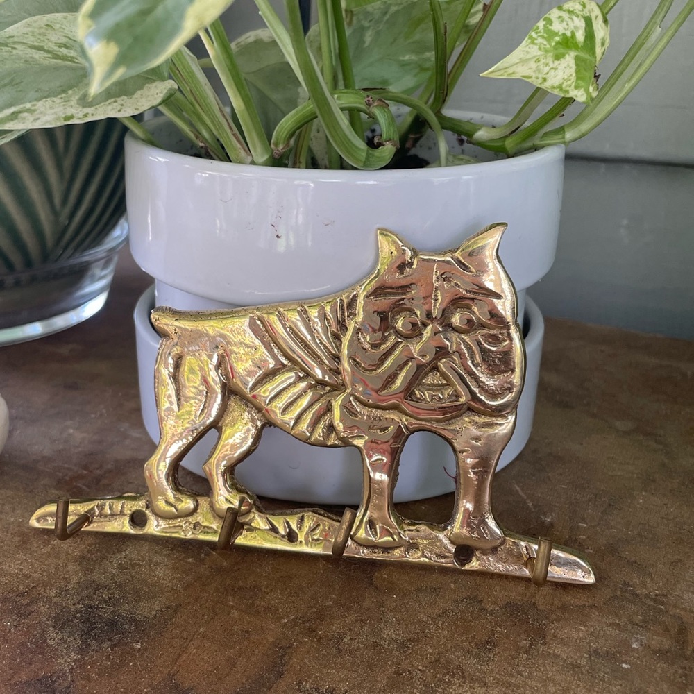 Fun Brass English Bulldog Key Hook Quirky Dog Decor